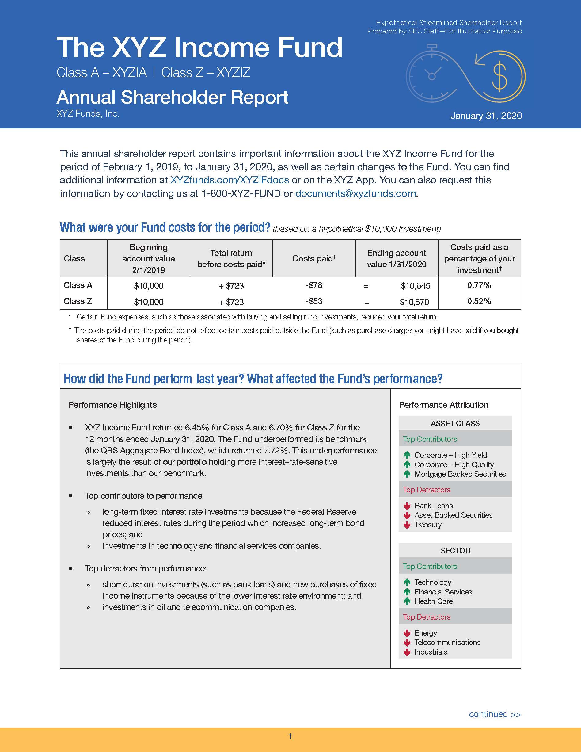 A hypothetical example of a streamlined shareholder report