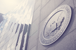 public registration statement image