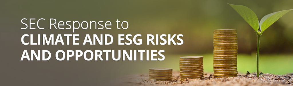 SEC Climate and ESG Risks and Opportunities