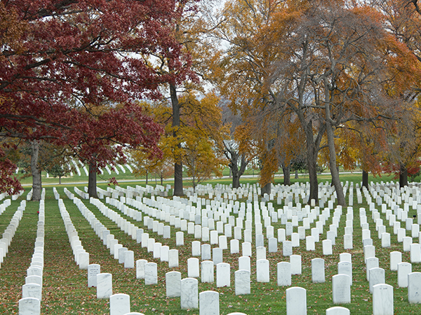 Guide to National and State Veterans Cemeteries photo 
