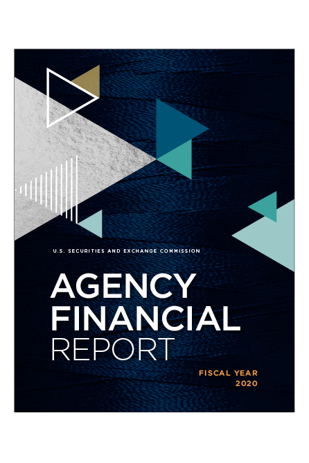 2020 Agency Financial Report cover